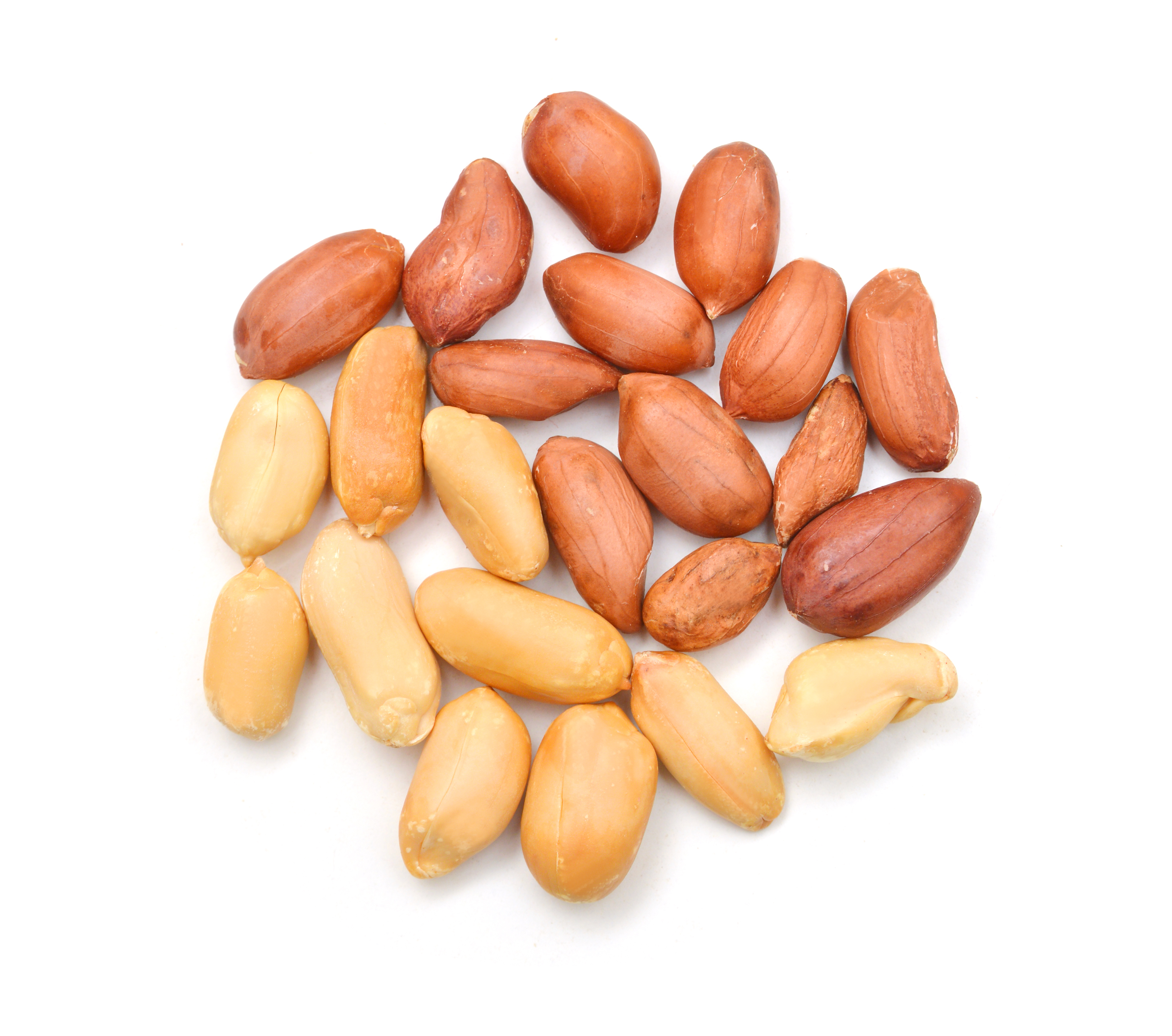 DRY FRUIT IMAGE 2