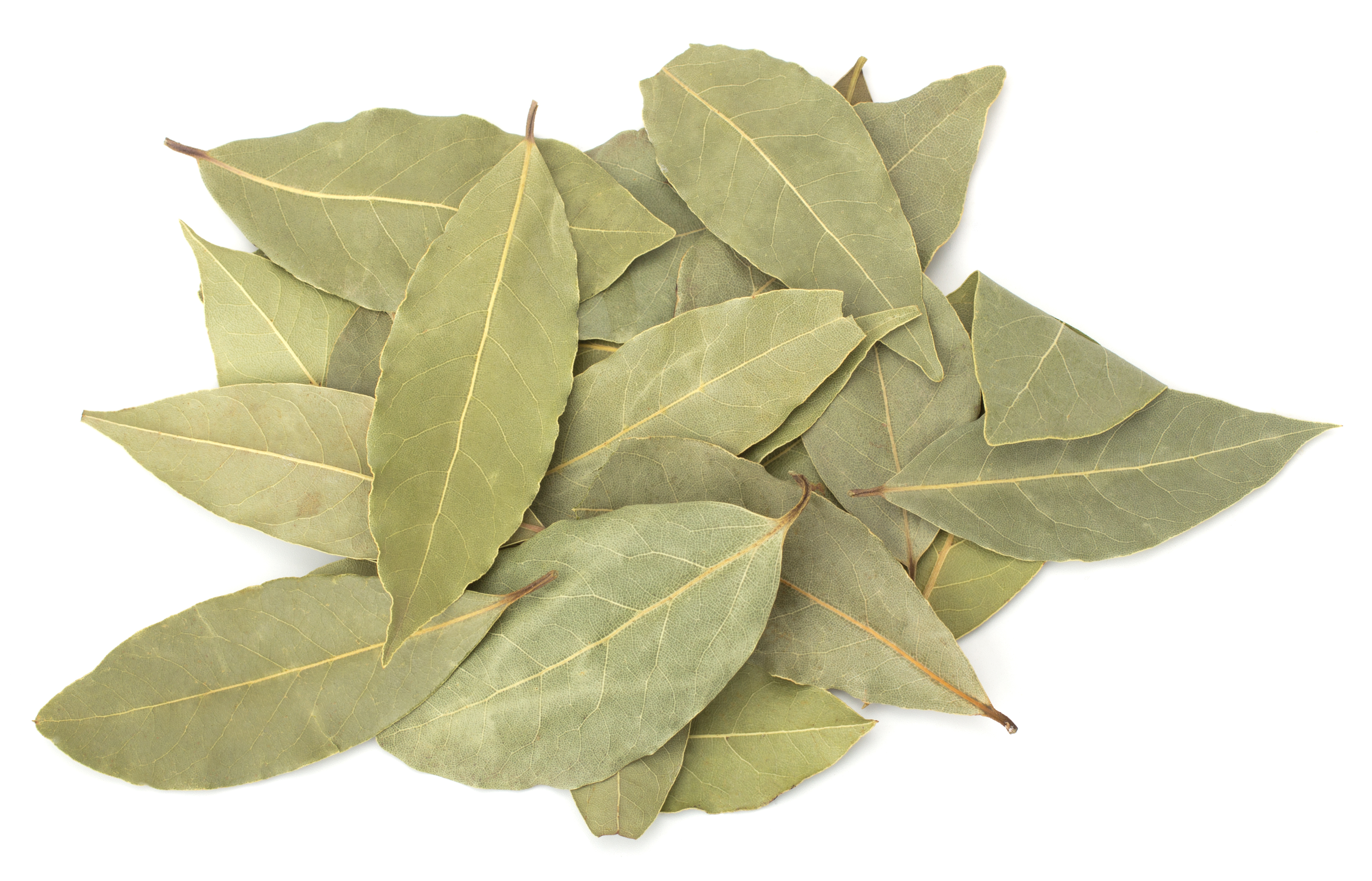 SPICE AND OIL IMAGE 1