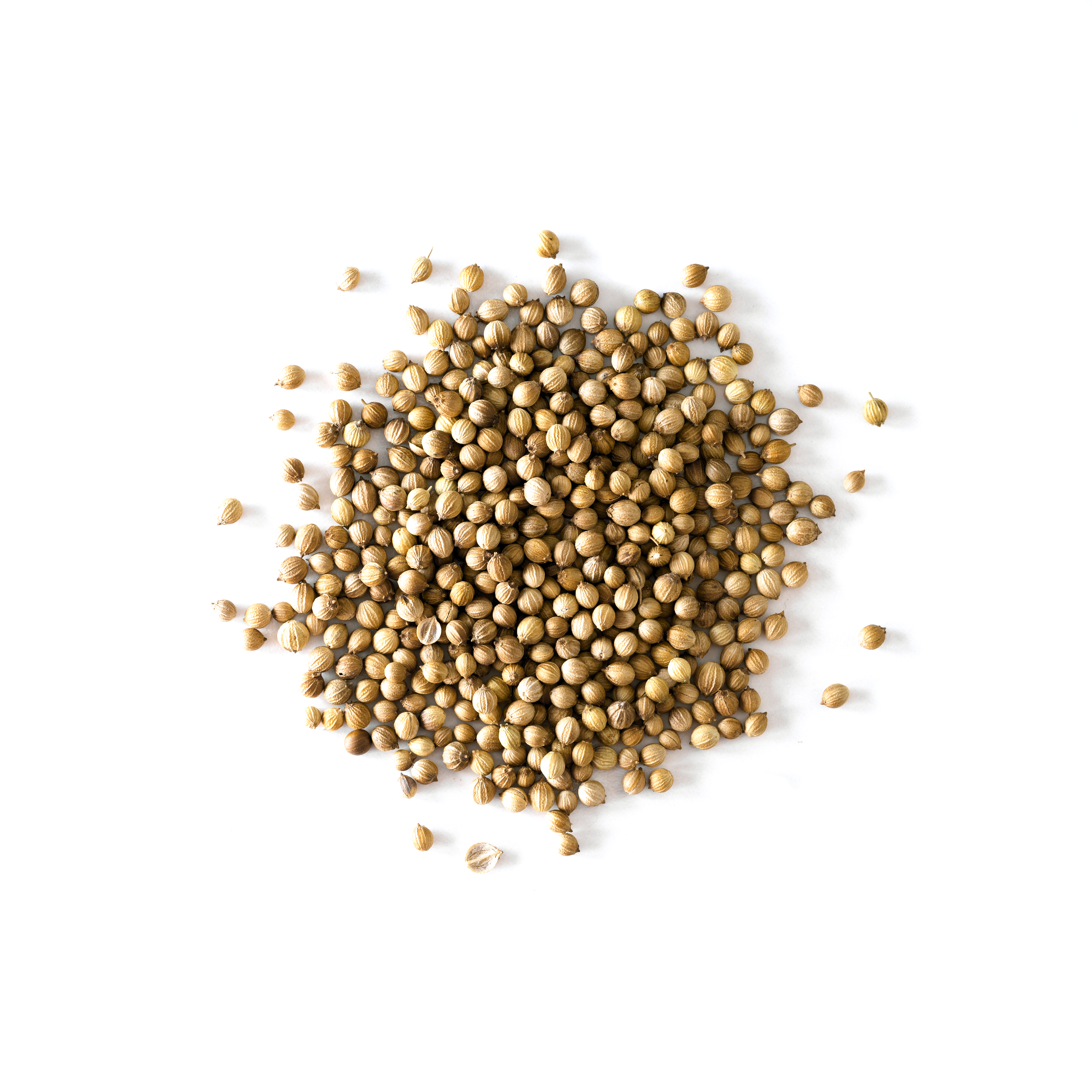 SPICE AND OIL IMAGE 2