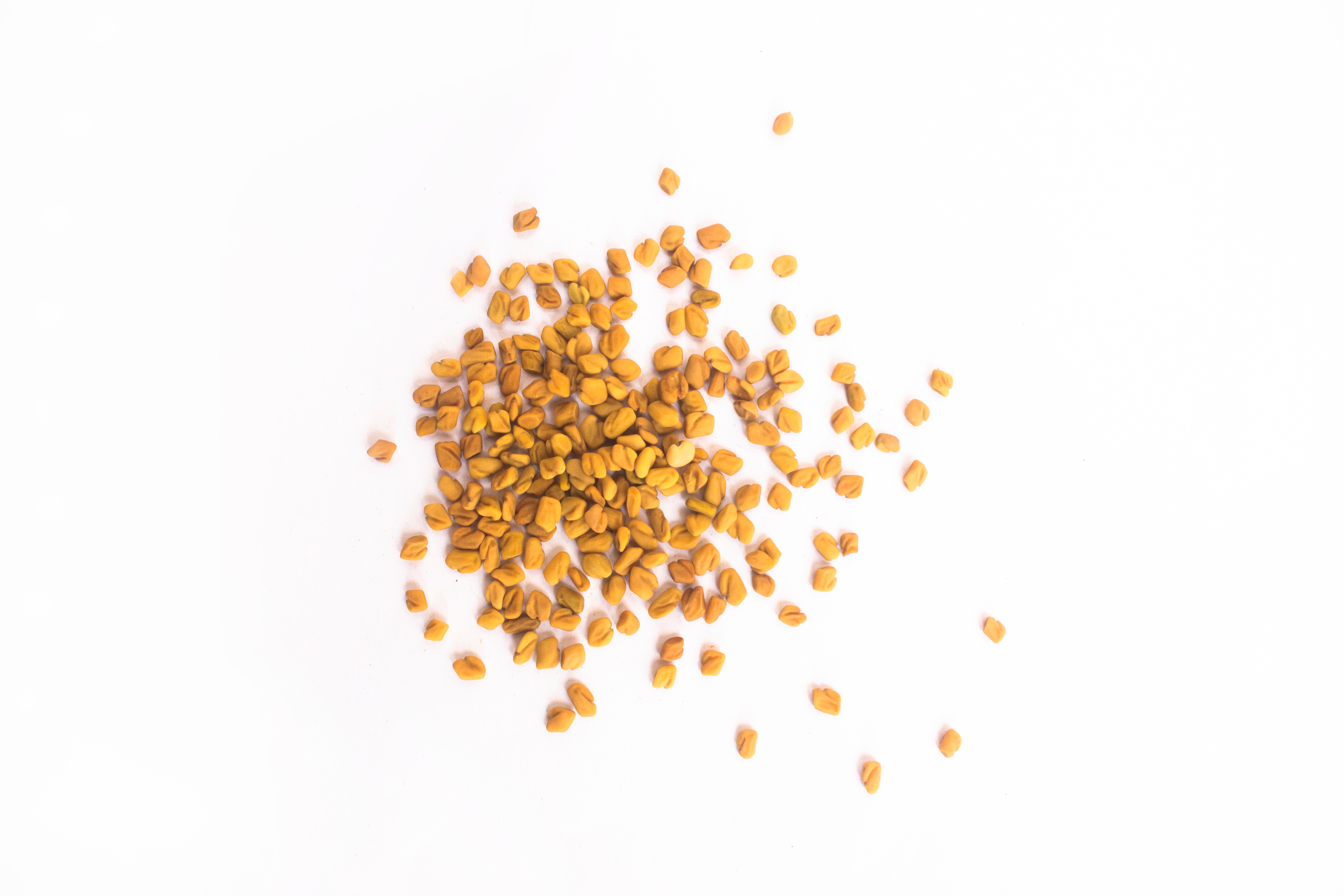 SPICE AND OIL IMAGE 4